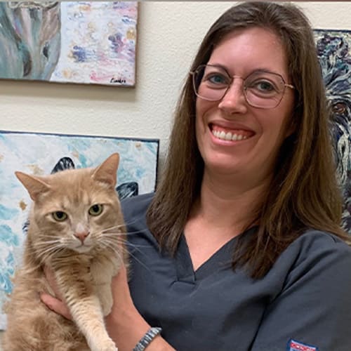 Meet Dr. Kelly Broussard, Baton Rouge Veterinarian